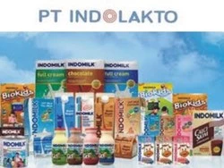 Logo of PT. Indolakto